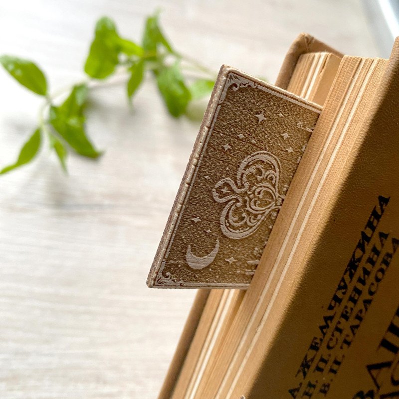 Вінтажна гравірована закладка для читачів Темної академії